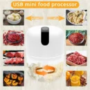 250ml Garlic Chopper Kitchen Electric Food Crusher Mini Blender Grinder Garlic Blender Processors